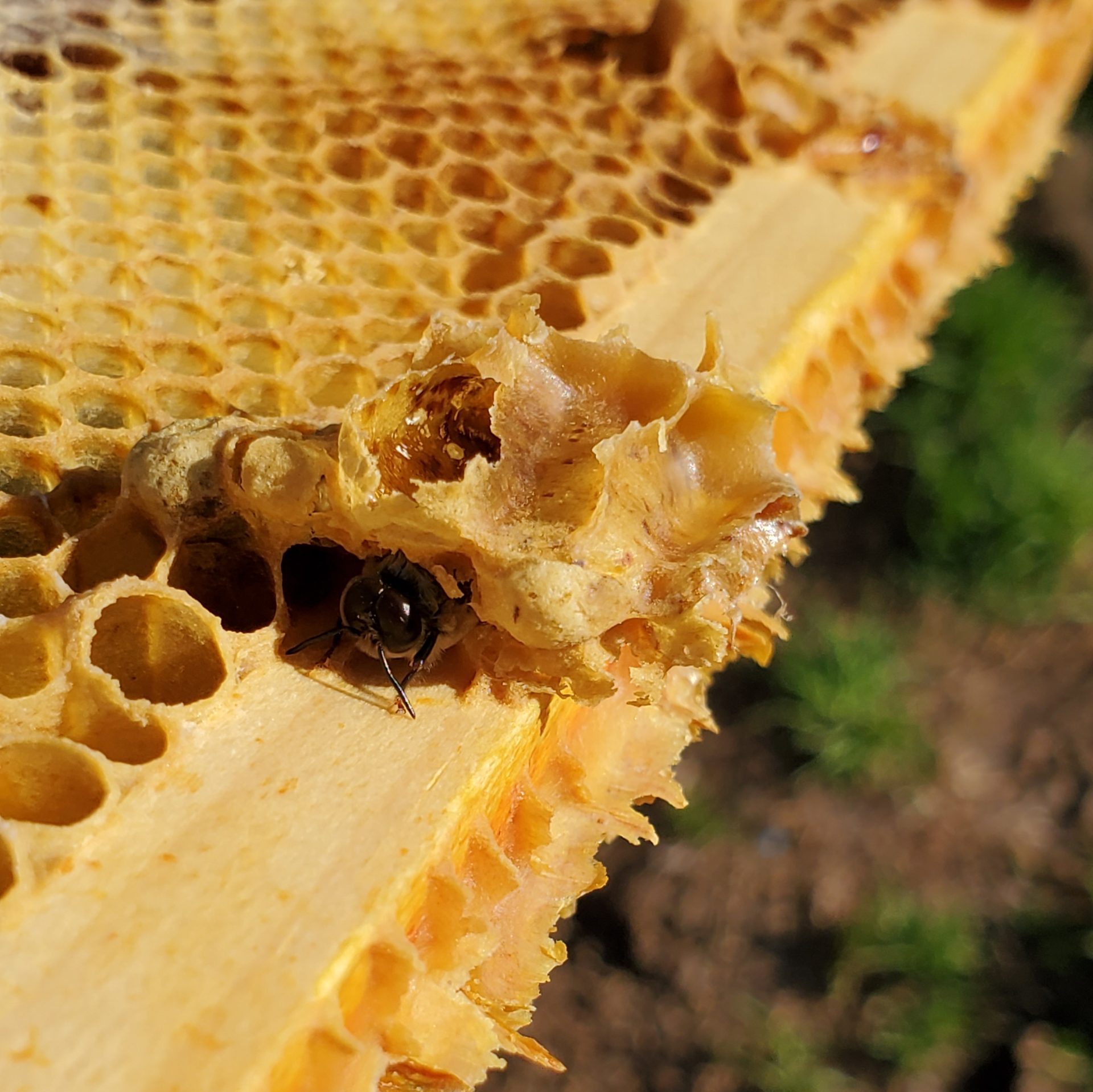 Honey I'm Home photo 13